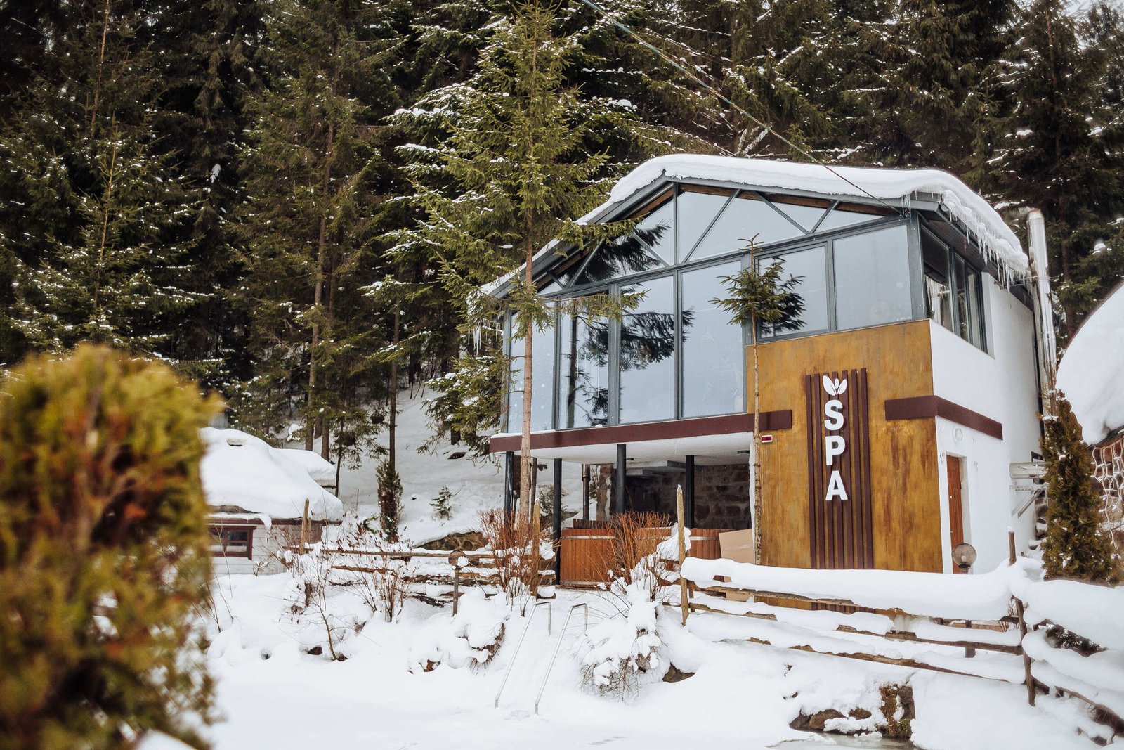 20220205-0F4A5266 (1) (1)