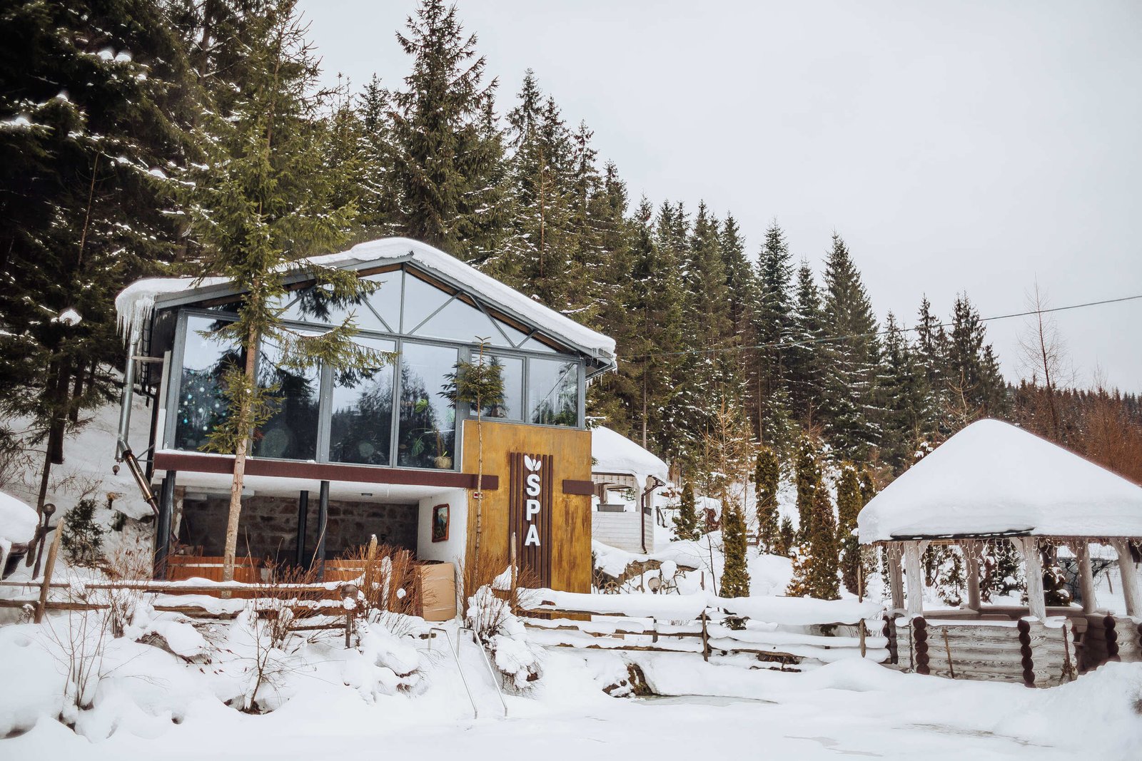 20220205-0F4A5269 (1) (1)