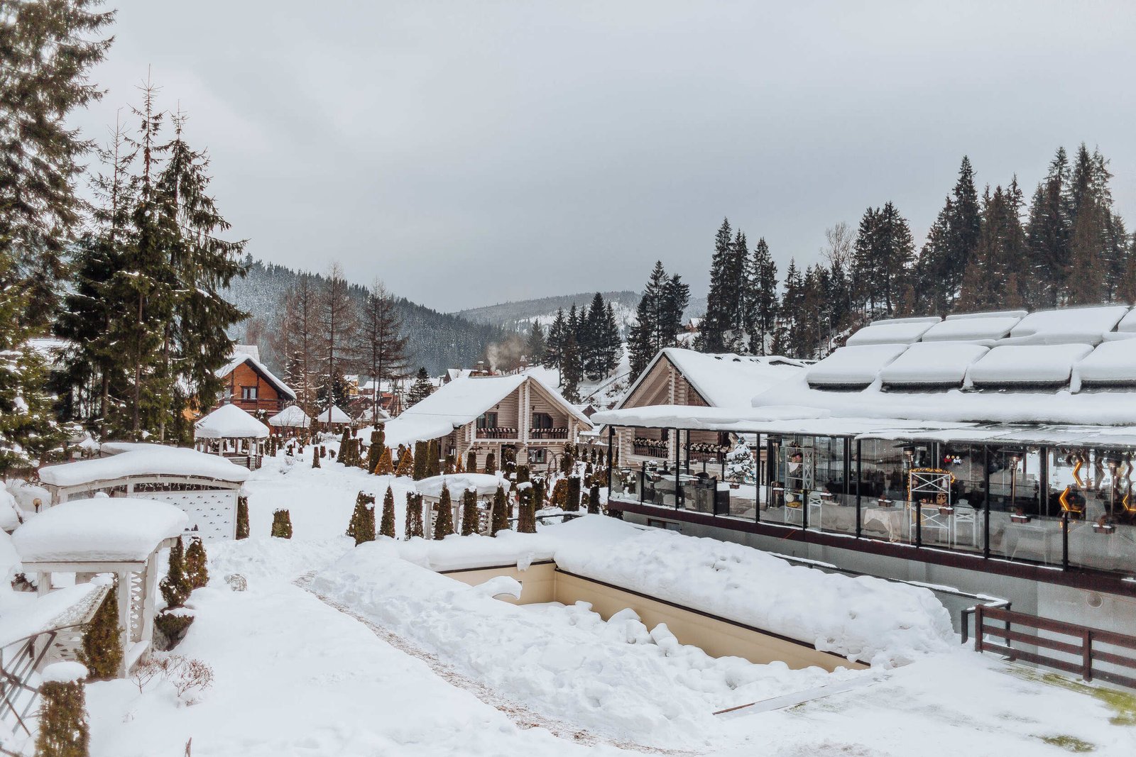 20220205-0F4A5223 (1) (1)