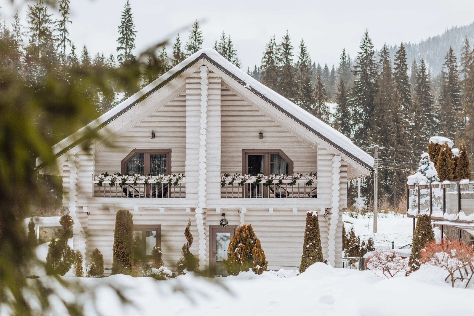 20220205-0F4A5246 (1) (1)