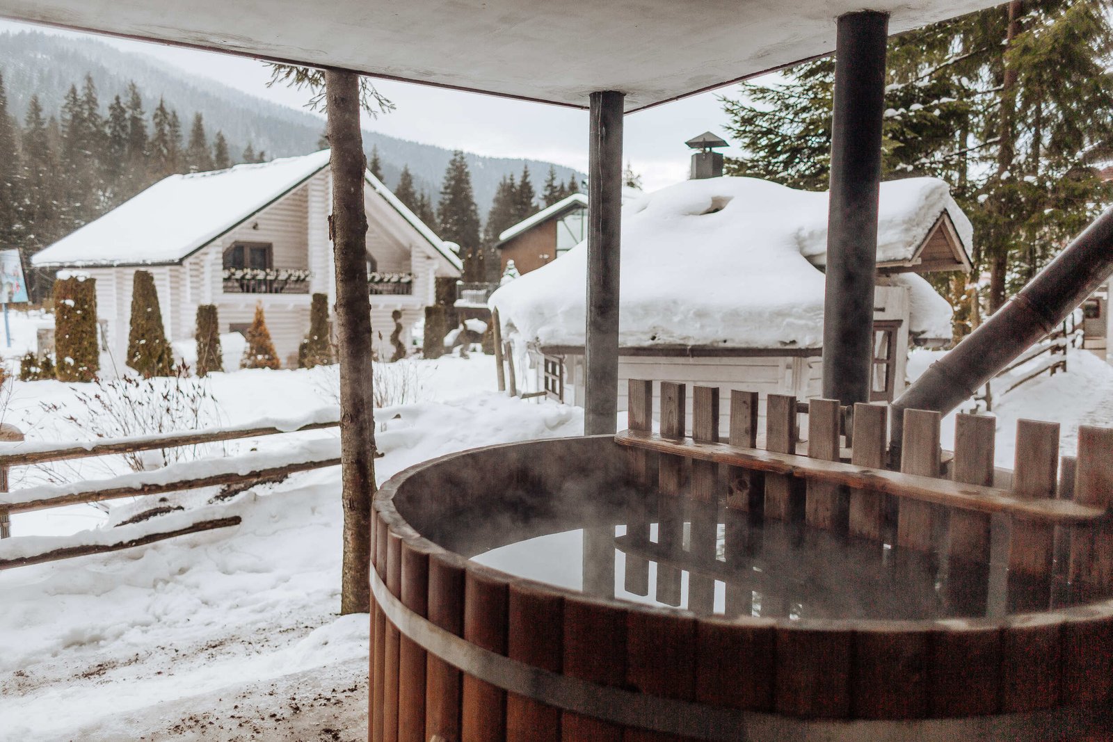 20220205-0F4A5256 (1) (1)