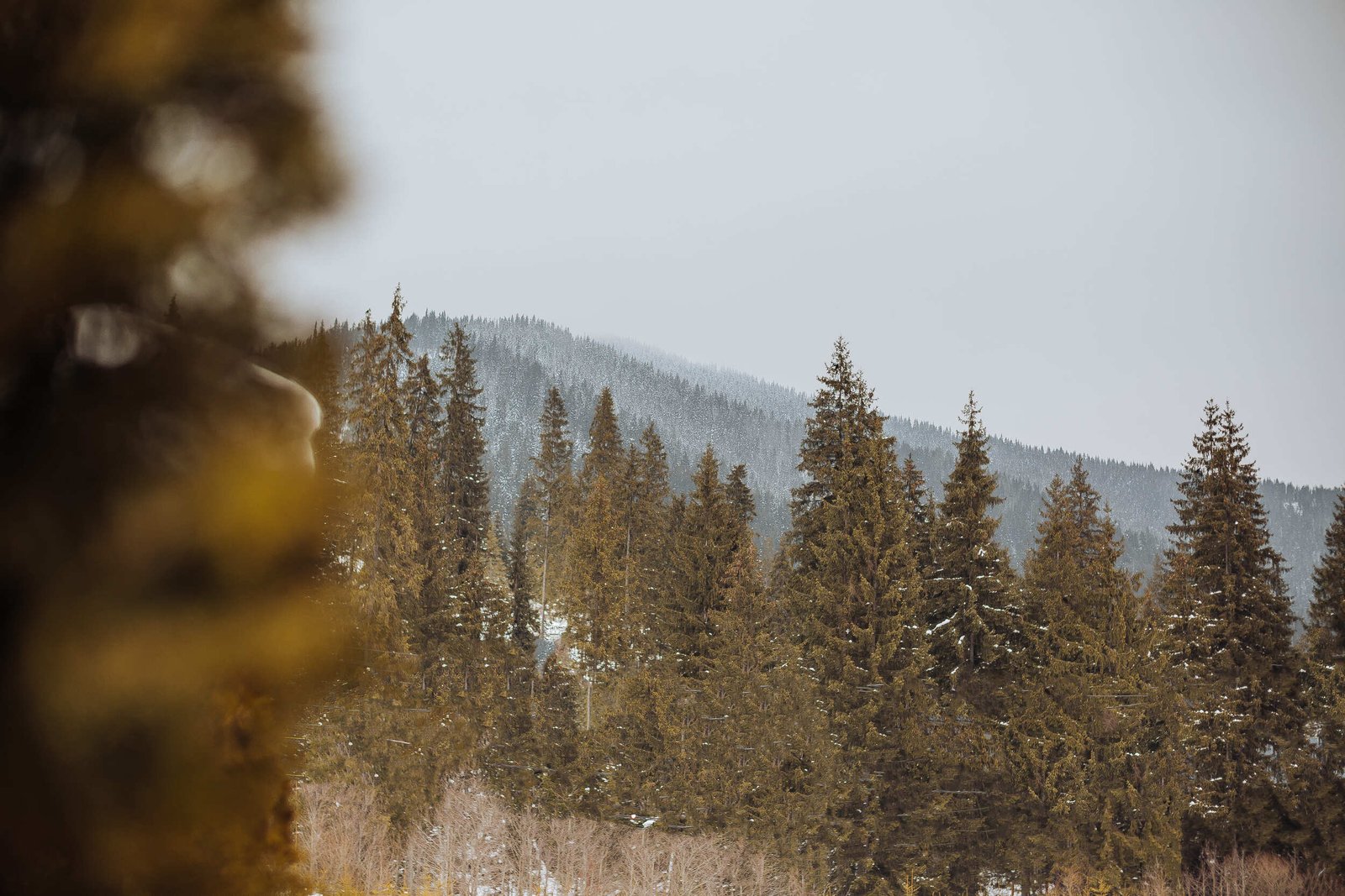 20220205-0F4A5310 (1) (1)