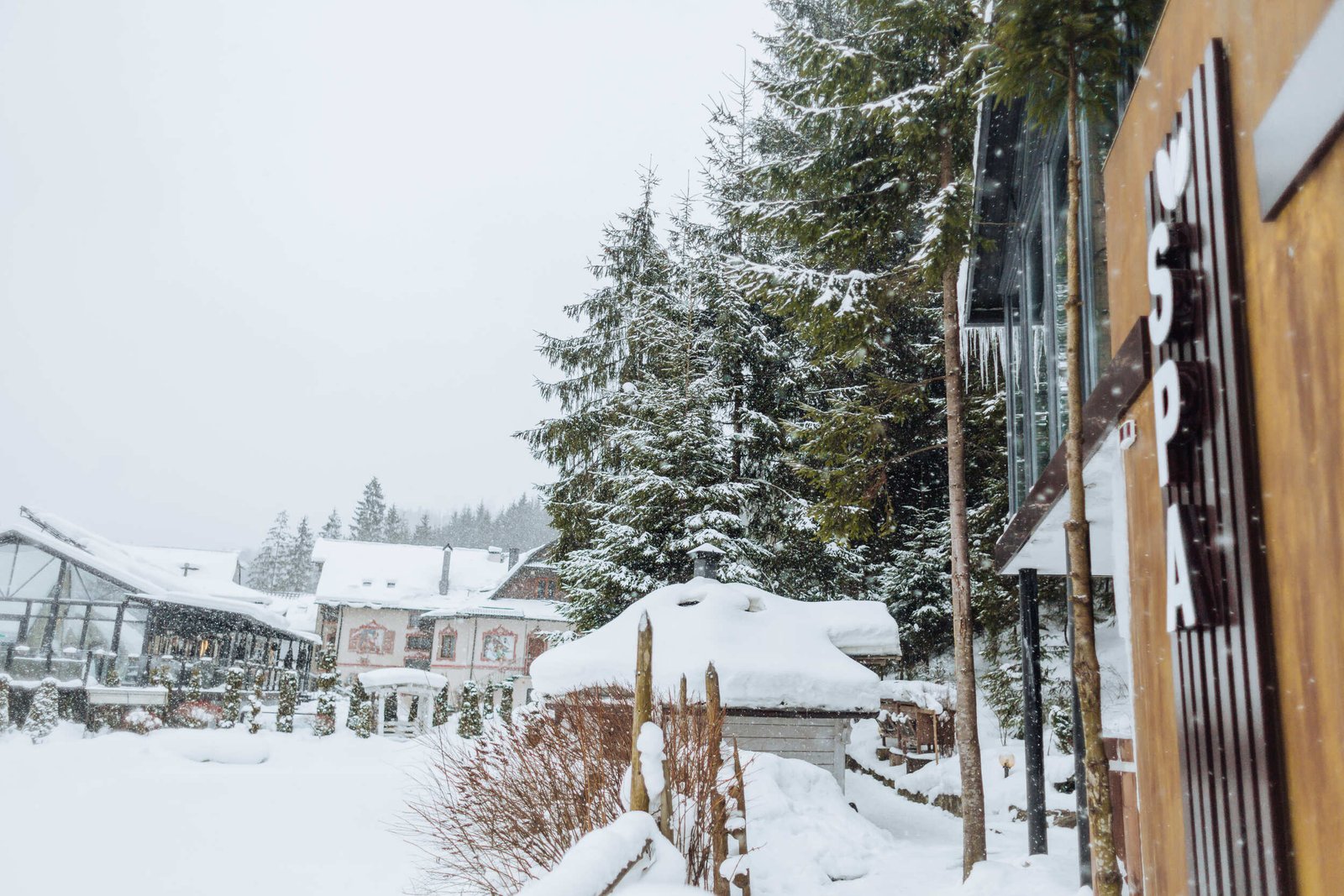 20220206-0F4A6069 (1) (2)