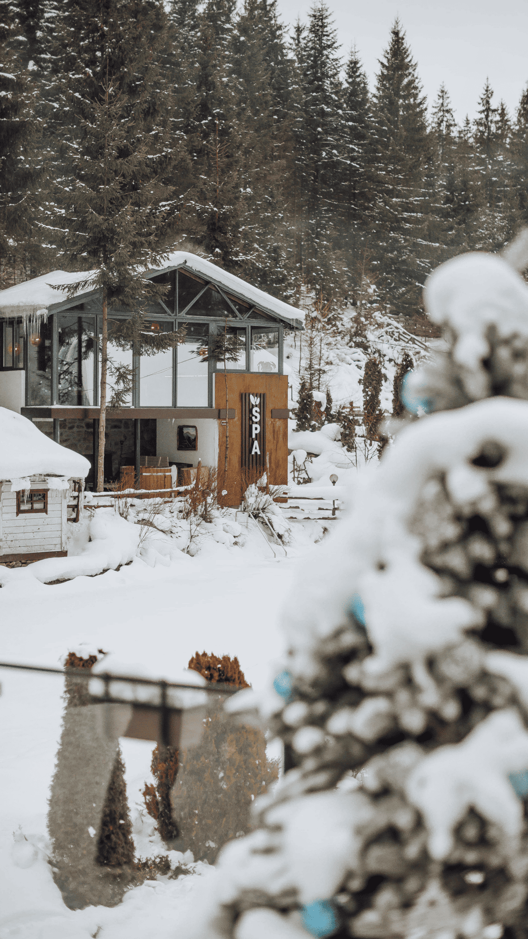 Instagram story - 4412 (2)